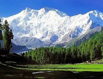 Kashmir-Delight-Tour