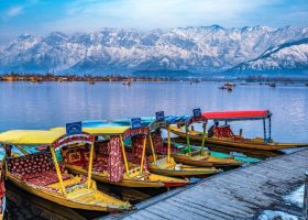 Shikara-boats-floating-on-Dal-Lake